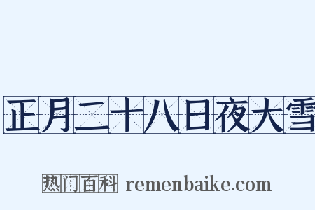 正月二十八日夜大雪是什么意思的图片